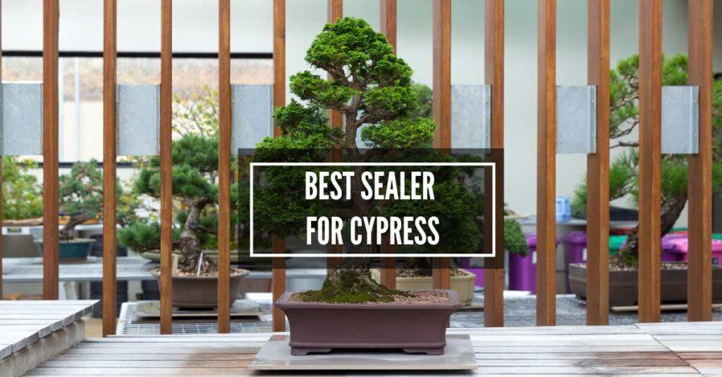 What is the Best Sealer for Cypress Wood in 2024