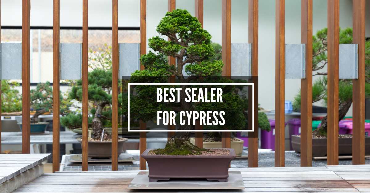 What Is The Best Sealer For Cypress